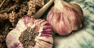 garlic, spice, ingredient