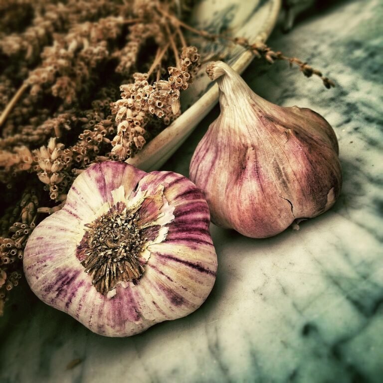 garlic, spice, ingredient