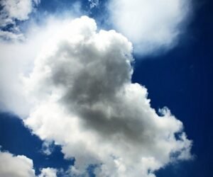 In Memoriam Mario Molina