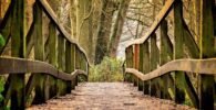 bridge, path, park