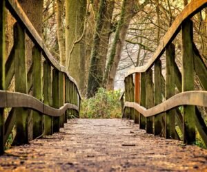 ¿Qué es un ambiente sano? Enseñanzas de la COVID 19