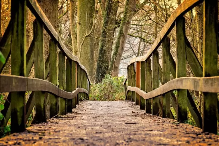 bridge, path, park