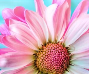 28-07-2022 el derecho a un ambiente saludable una realidad?