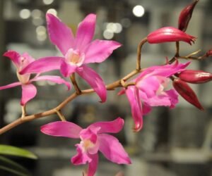 El camino hacia el crecimiento profesional: Capacitación en ingeniería y sostenibilidad