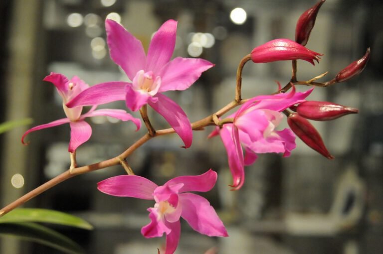 El camino hacia el crecimiento profesional: Capacitación en ingeniería y sostenibilidad