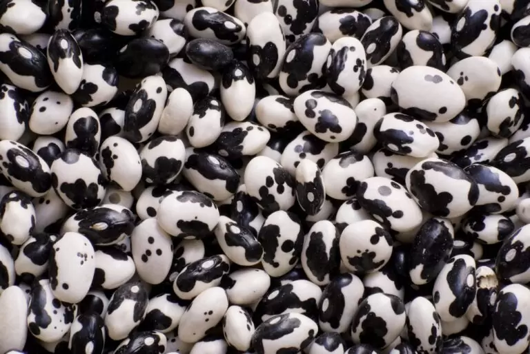 4271b594 3ebf 4c5a a519 e12735890853