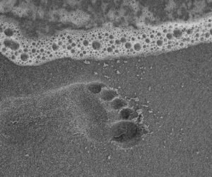 ¿Quieres sabes cuál es tu huella hídrica?