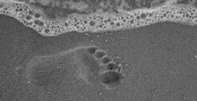 sand, footprint, water