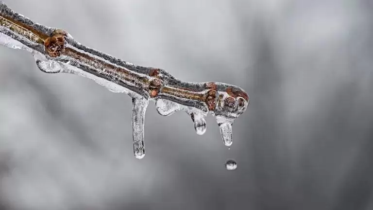 Va por la Tierra: Sustentabilidad Regenerativa 33 ice, melt, frost
