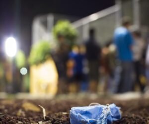 La carrera por la cura del coronavirus