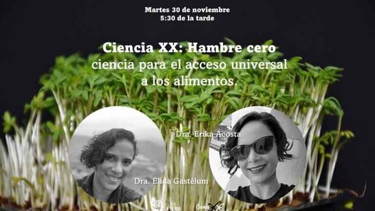 Jornadas Internacionales de Inclusión y Accesibilidad Universal