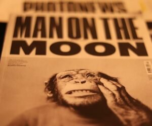 ONU: El COVID-19 amenaza la conservación de los grandes simios