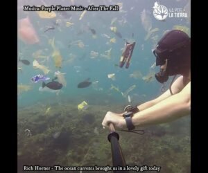 ¿Quieres vivir en la basura?