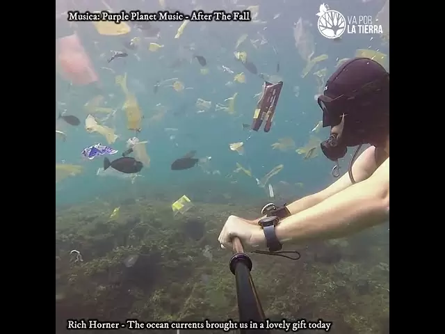 ¿Quieres vivir en la basura?
