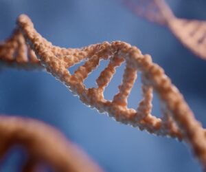 La revolución del Proyecto Genoma Humano cumple dos décadas