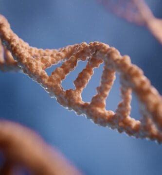 a close up of a single strand of food