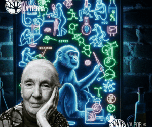 Jane Goodall, ejemplo de mujer STEAM