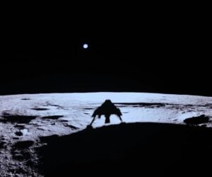 La Luciérnaga (FireFly) que Alcanzó la Luna