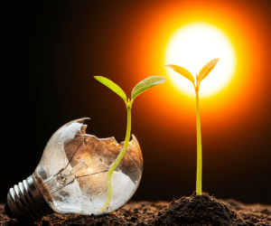 Impulsando un Futuro Sostenible: Tu Guía para la Eficiencia Energética