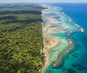 El Impacto Humano Global en la Biodiversidad: ¿Estamos a Tiempo de Reaccionar?