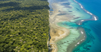 Biodiversidad, Impacto
