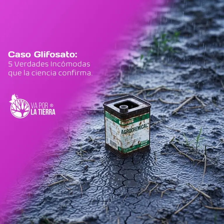 Va por la Tierra: Sustentabilidad Regenerativa 32 gifosato
