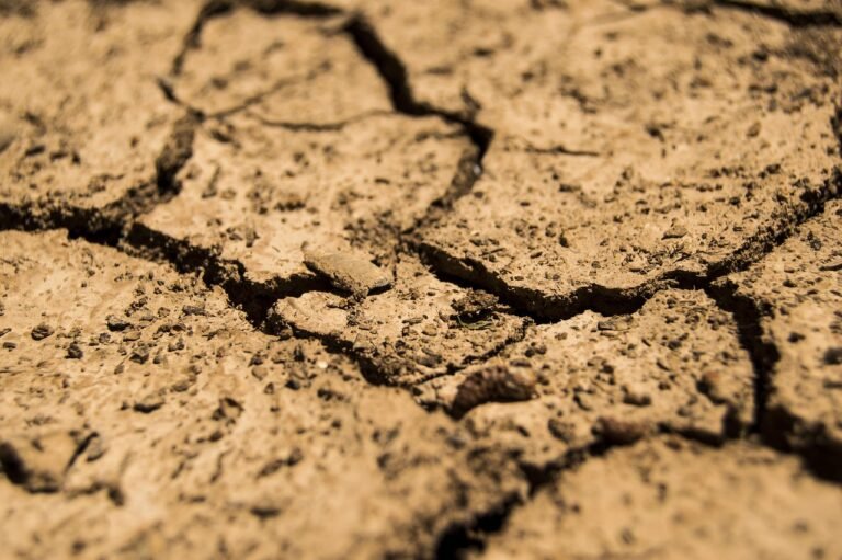 sequia, el niño, la niña