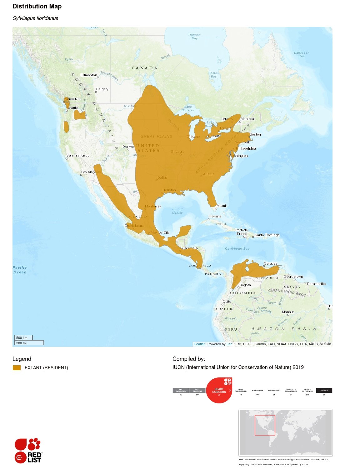 Sylvilagus floridanus mapa IUCN 