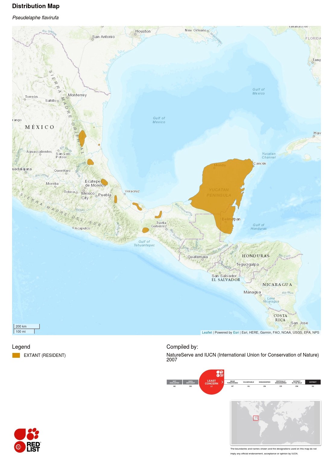 Pseudelaphe flavirufa mapa